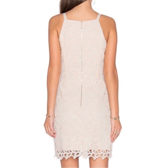 NWT Greylin Lace Cream & Gold Crochet Dress Size Medium Anthrpology Retail $170 - Picture 2 of 5